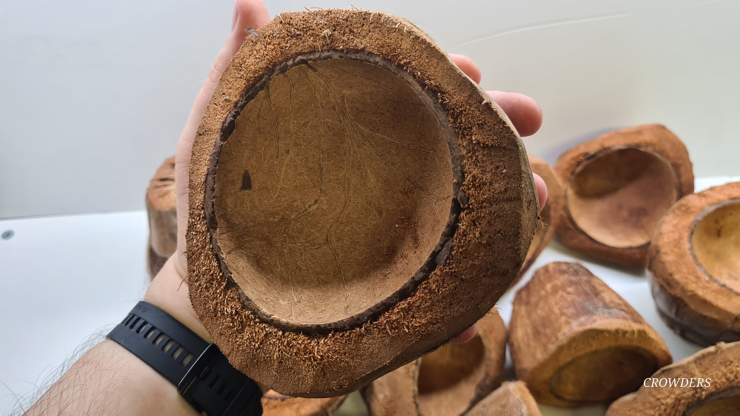 COCONUT CUP / POTS