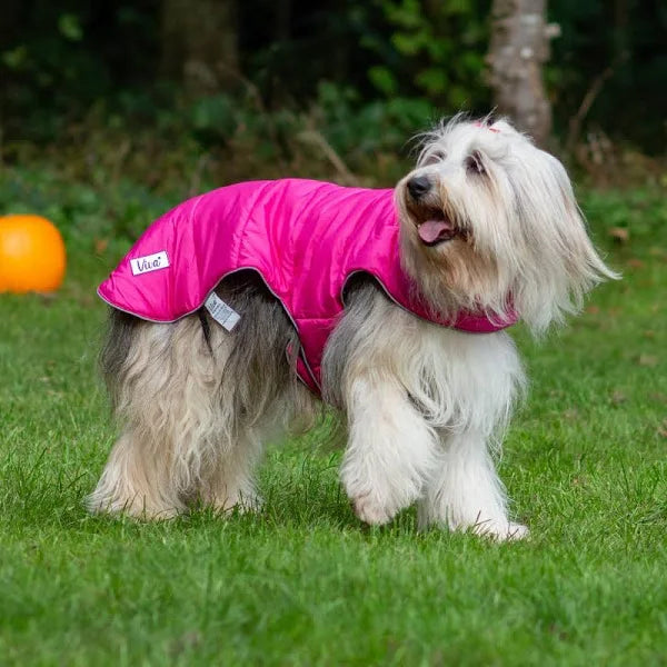 ANCOL VIVA REVERSIBLE COAT RED/BLUE