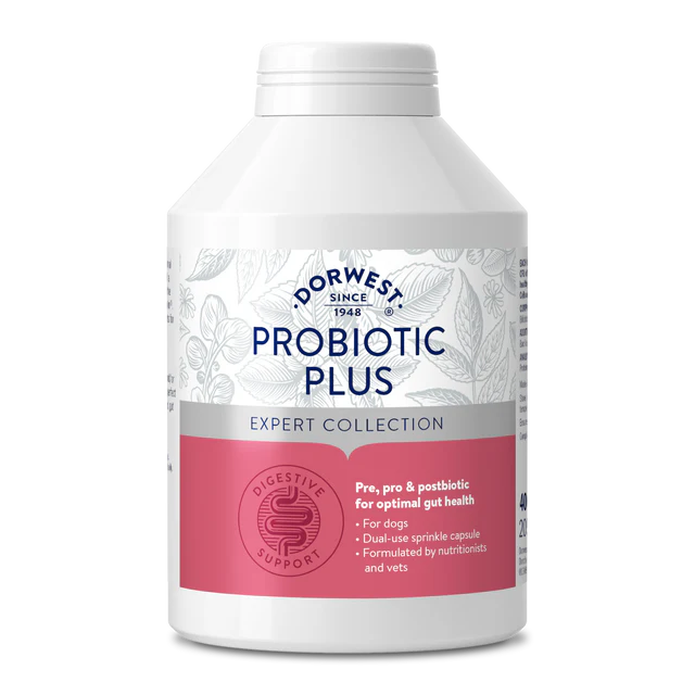 Probiotic Plus for Dogs