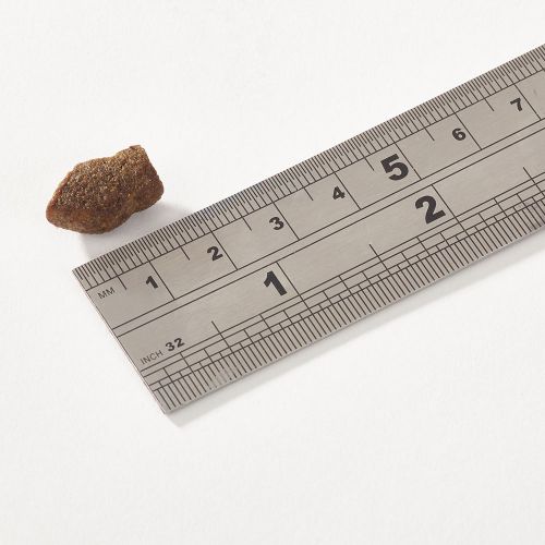 FISH4DOGS SUPPORT+ PUPPY WHITE FISH MINI MORSELS