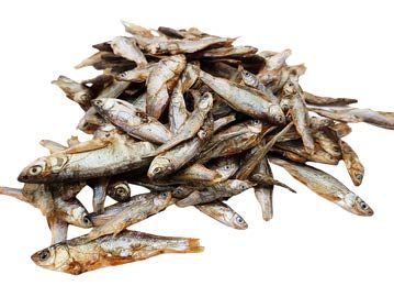 FISH 4 DOGS SPRATS