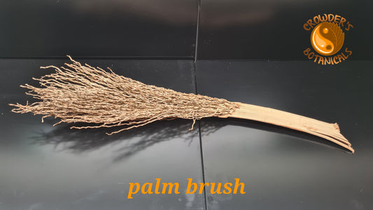 PALM BRUSH