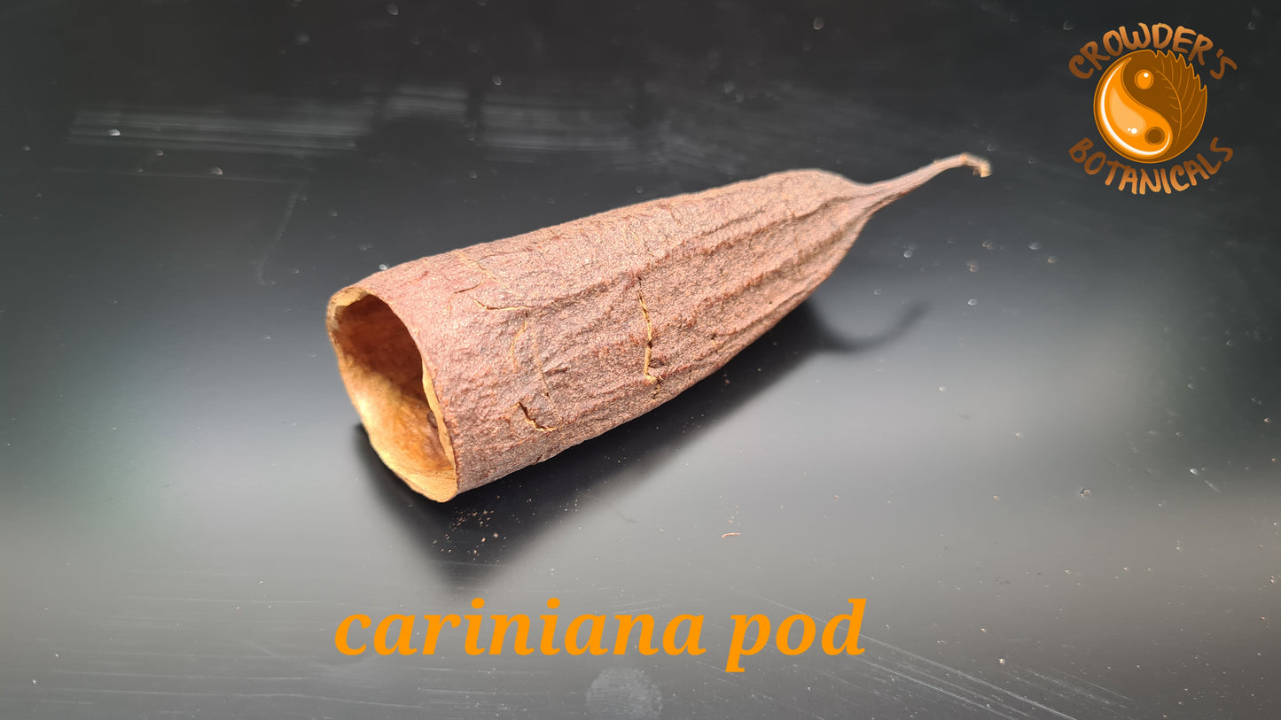 CARINIANA PODS