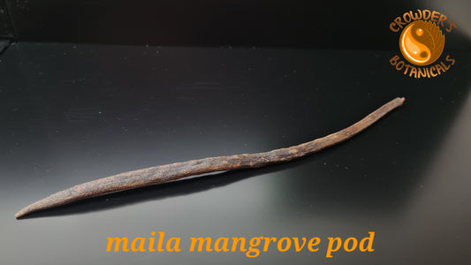 MAILA MANGROVE PODS