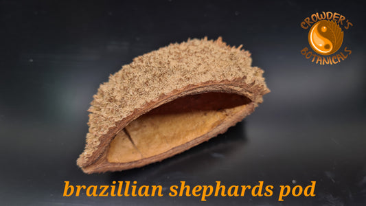 BRAZILLIAN SHEPHARDS