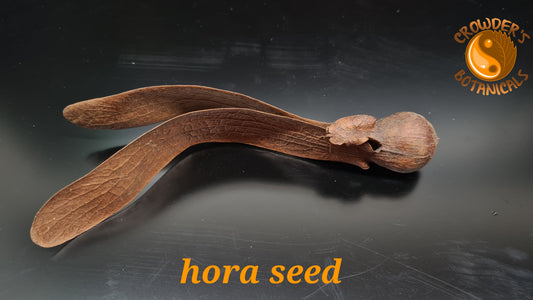 HORA SEED