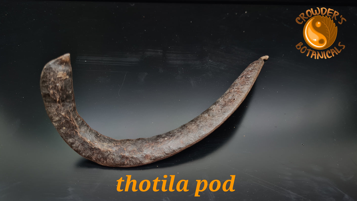 THOTILA PODS