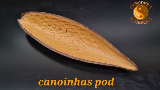 CANOINHAS POD