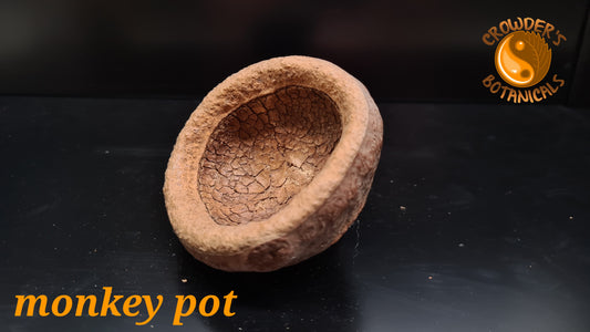 MONKEY POT