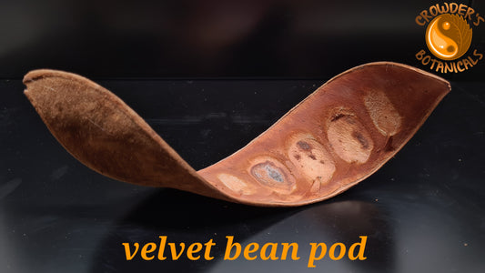 VELVET BEAN POD