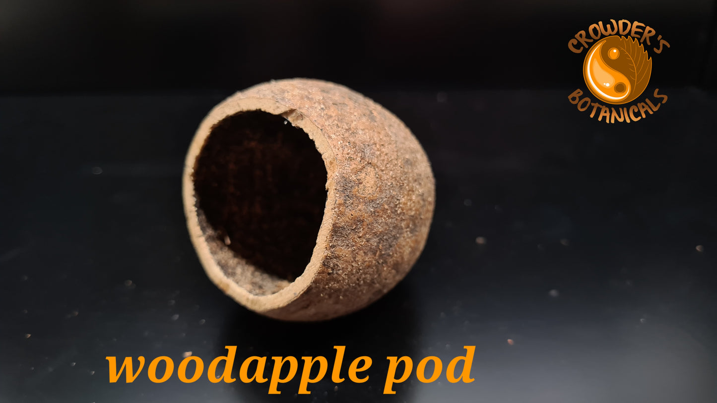 WOODAPPLE POD