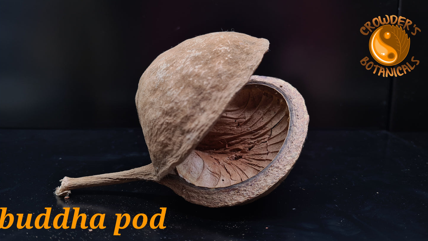 BUDDHA POD