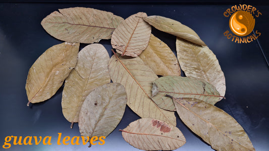 GUAVA LEAVES