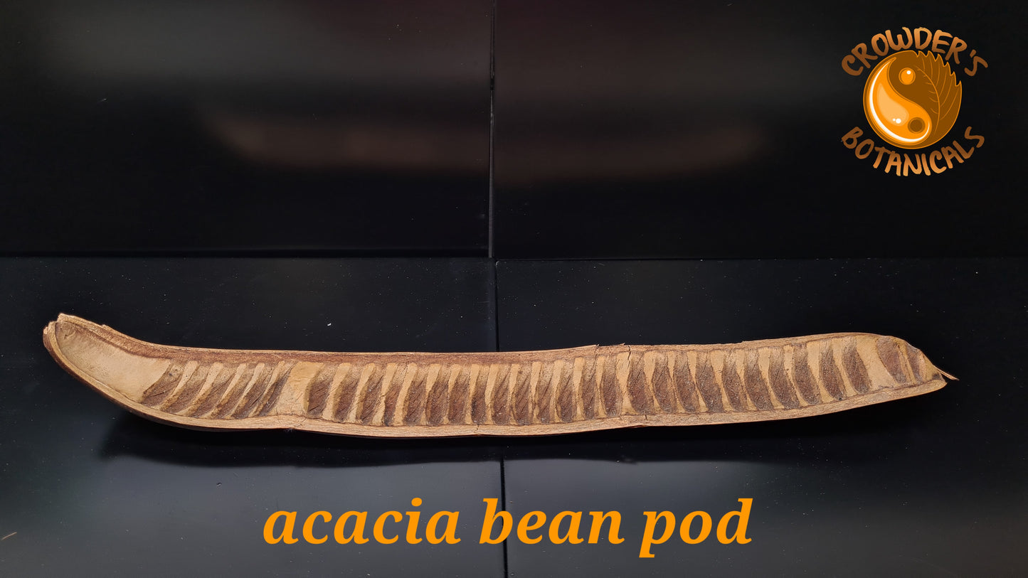 ACACIA BEAN PODS