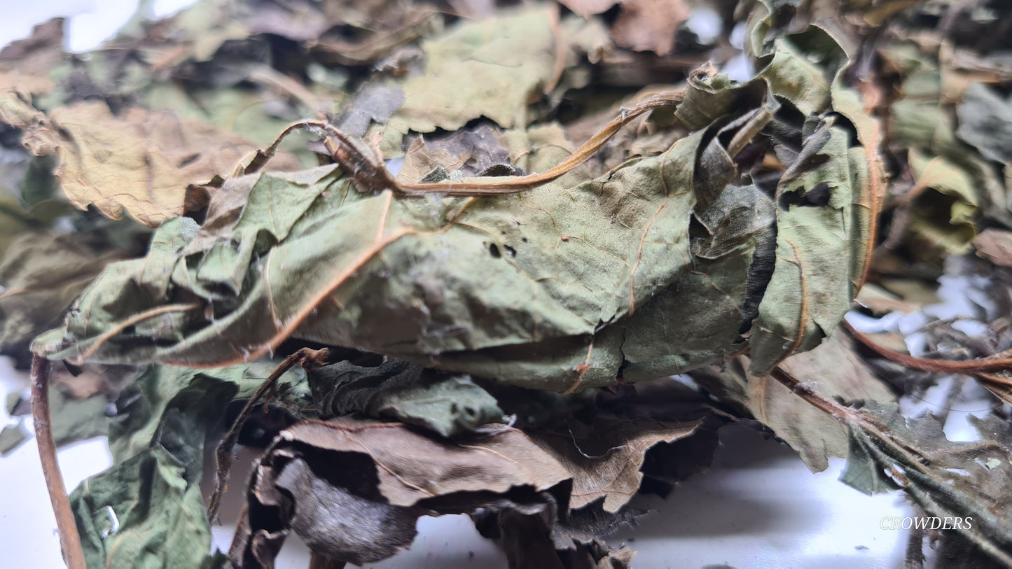 MULBERRY LEAVES 20G BAG