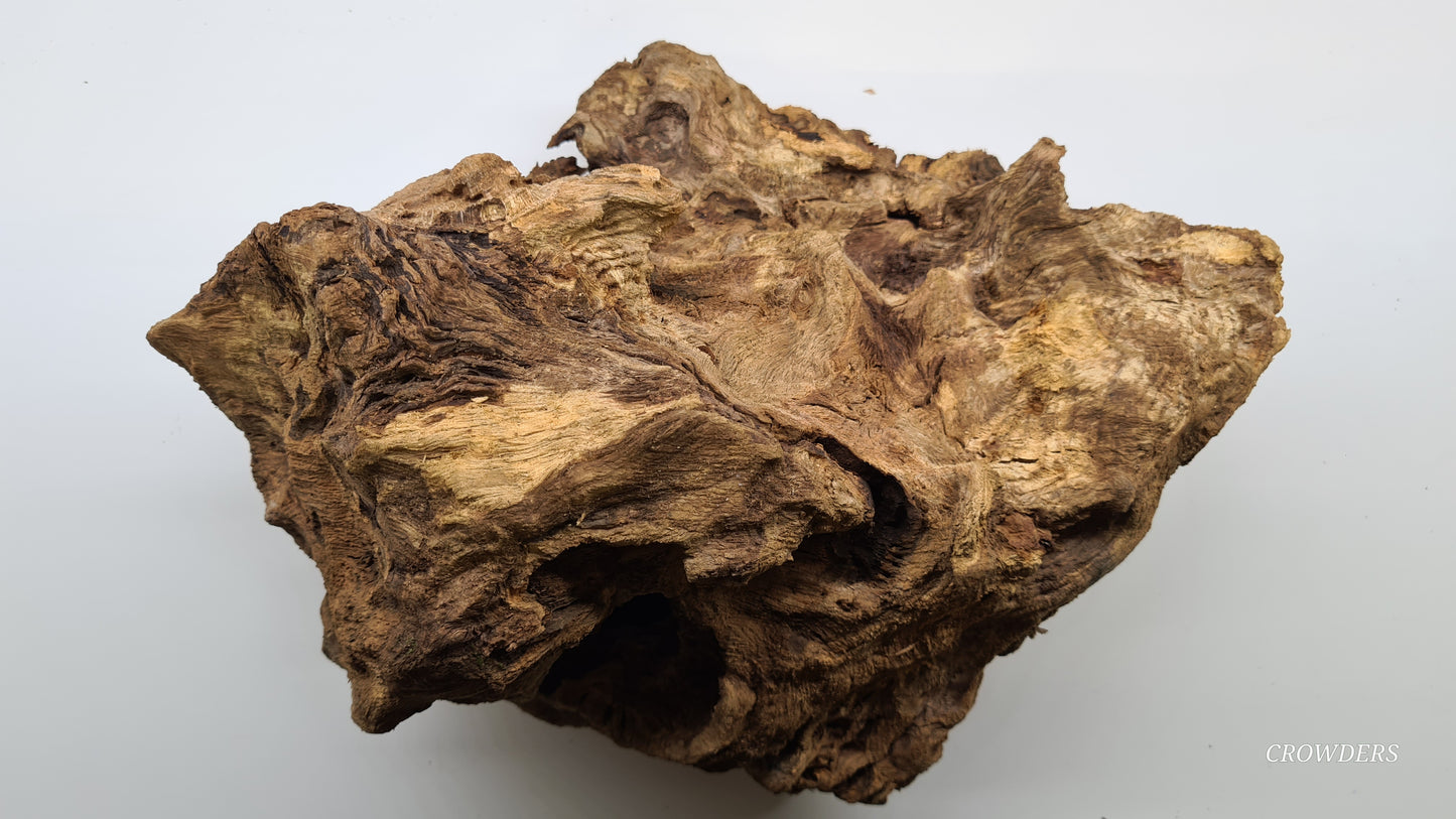 BOGWOOD bog9