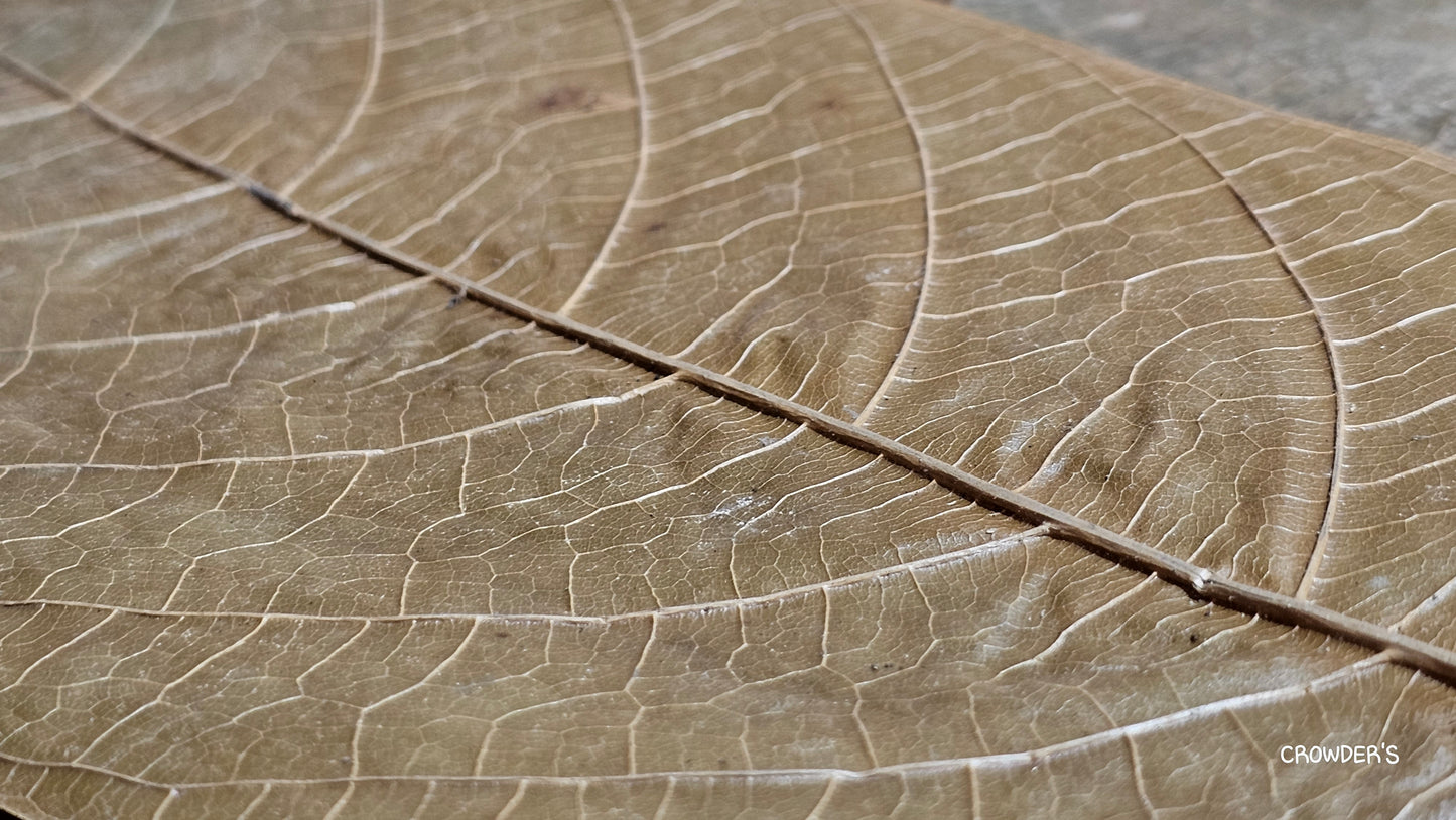 COCOA LEAVES