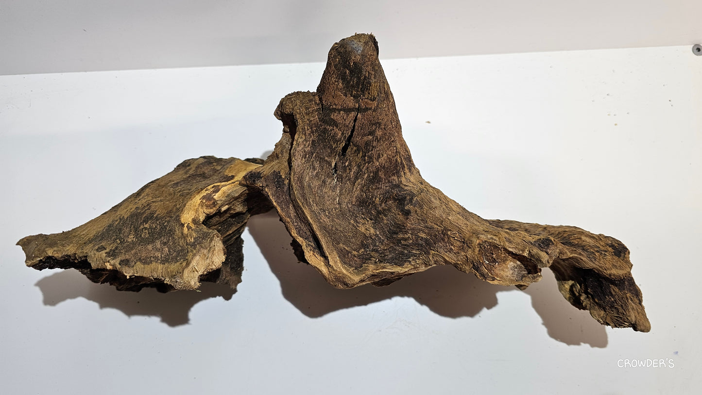 BOGWOOD BOG17