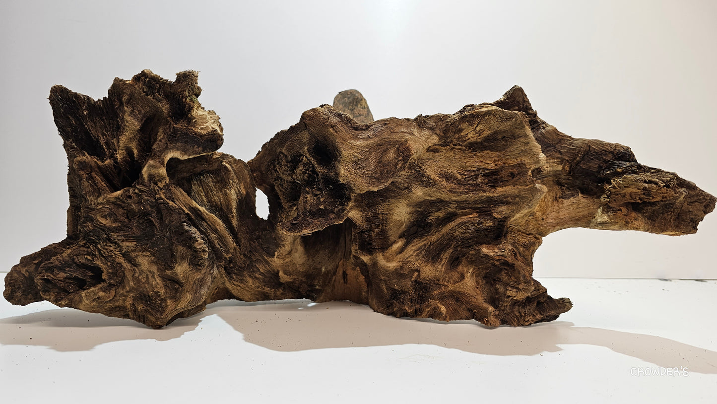 BOGWOOD BOG17