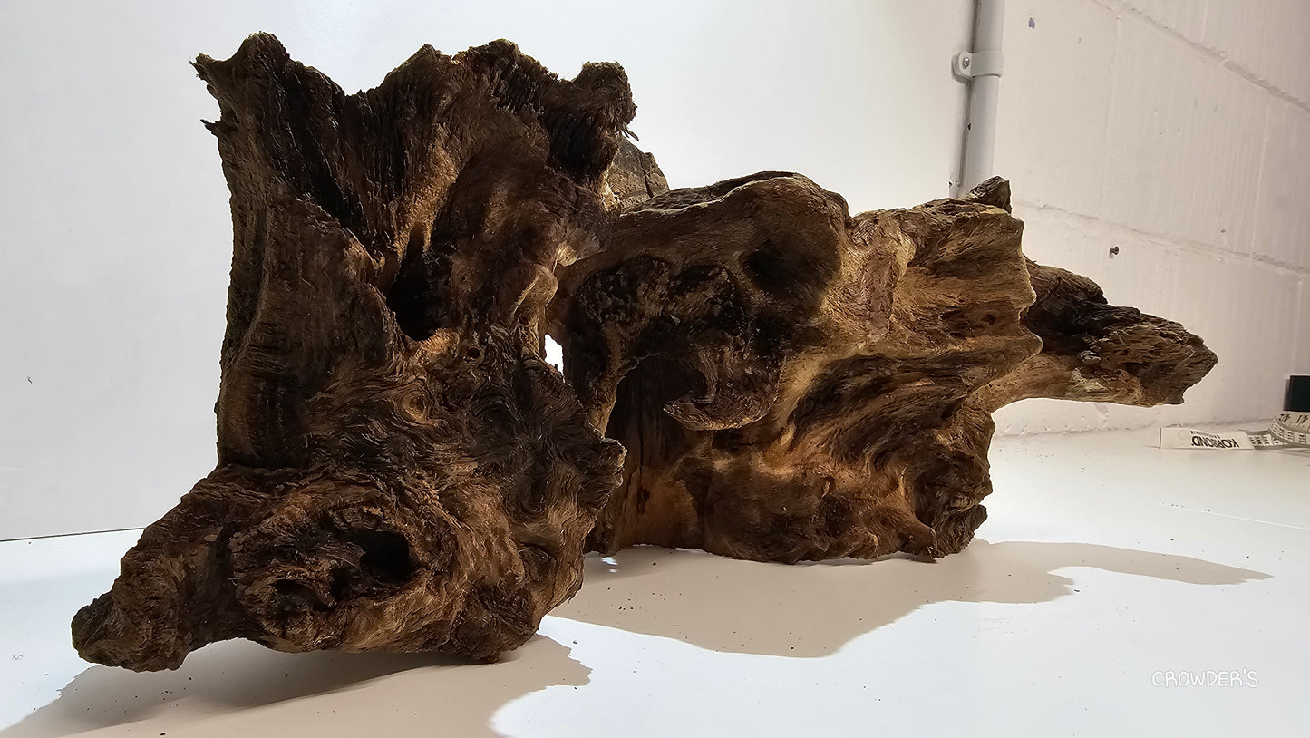 BOGWOOD BOG17