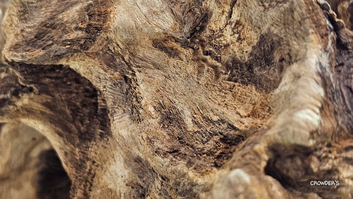 BOGWOOD BOG17