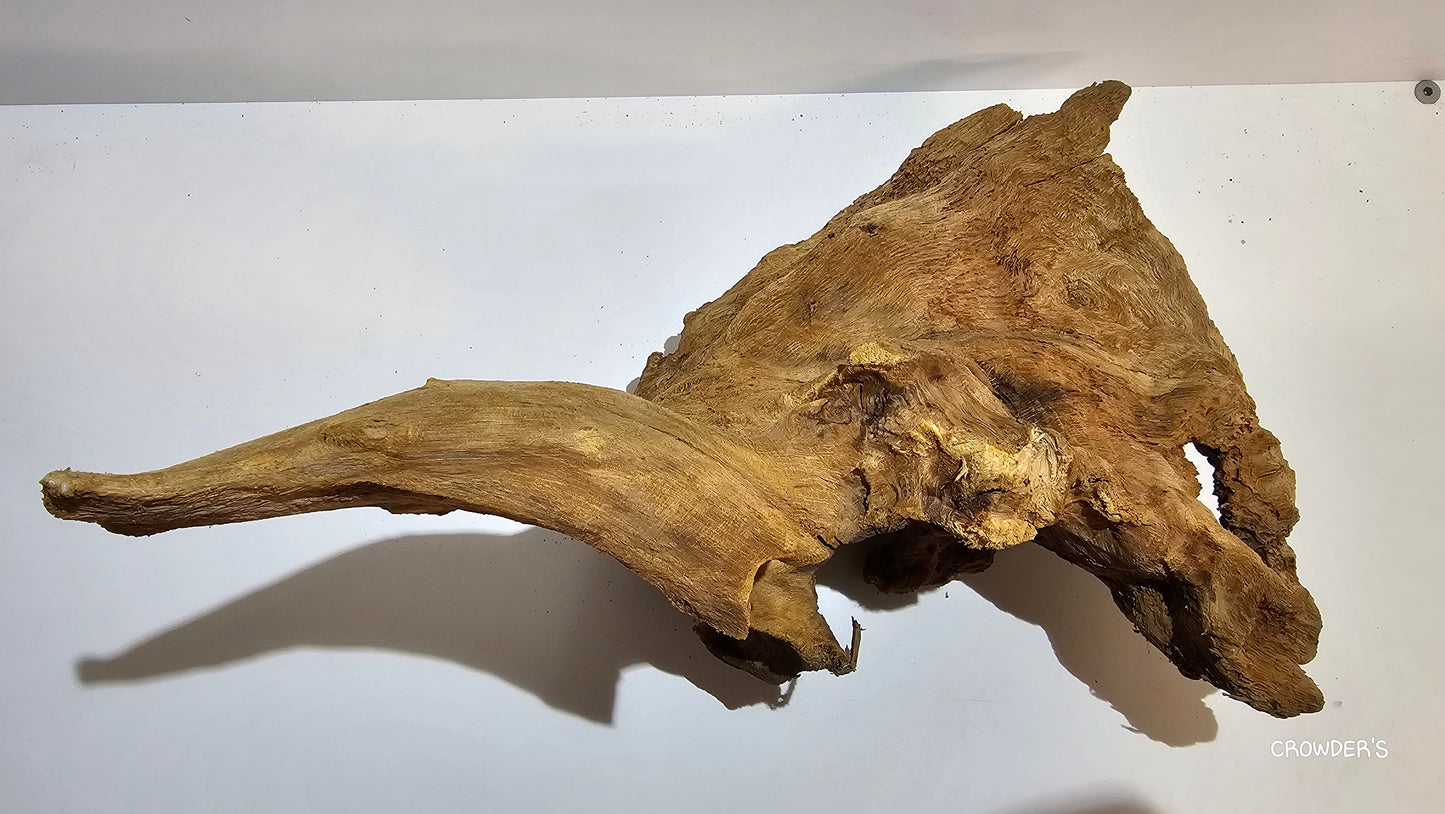 BOGWOOD bog10