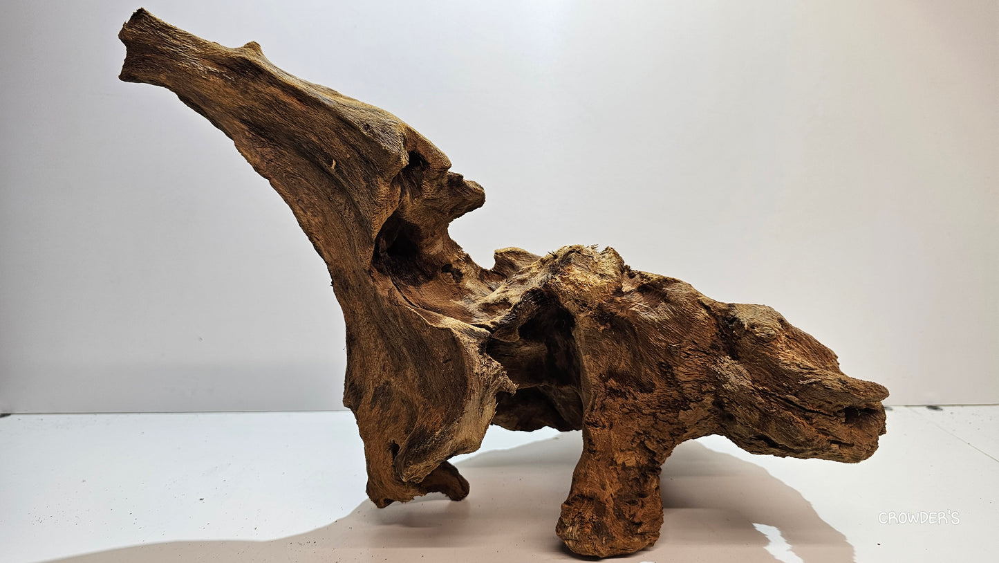 BOGWOOD bog10