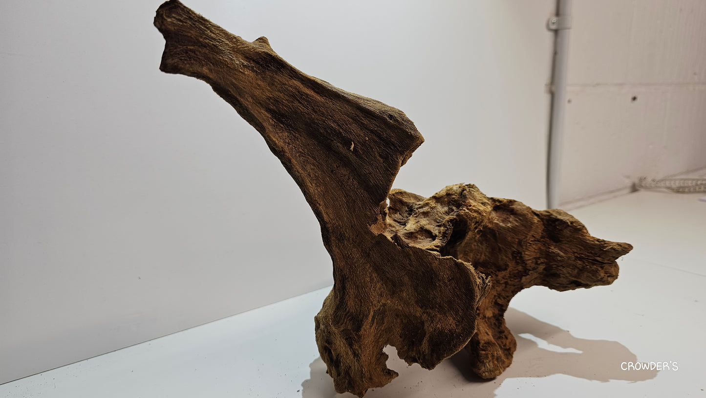 BOGWOOD bog10