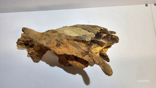 BOGWOOD BOG19