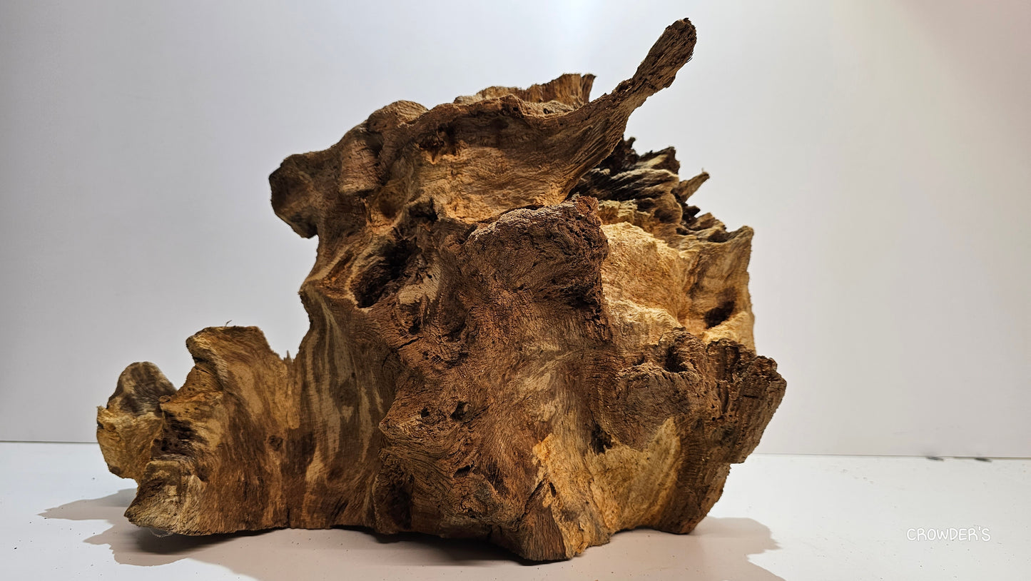 BOGWOOD BOG19