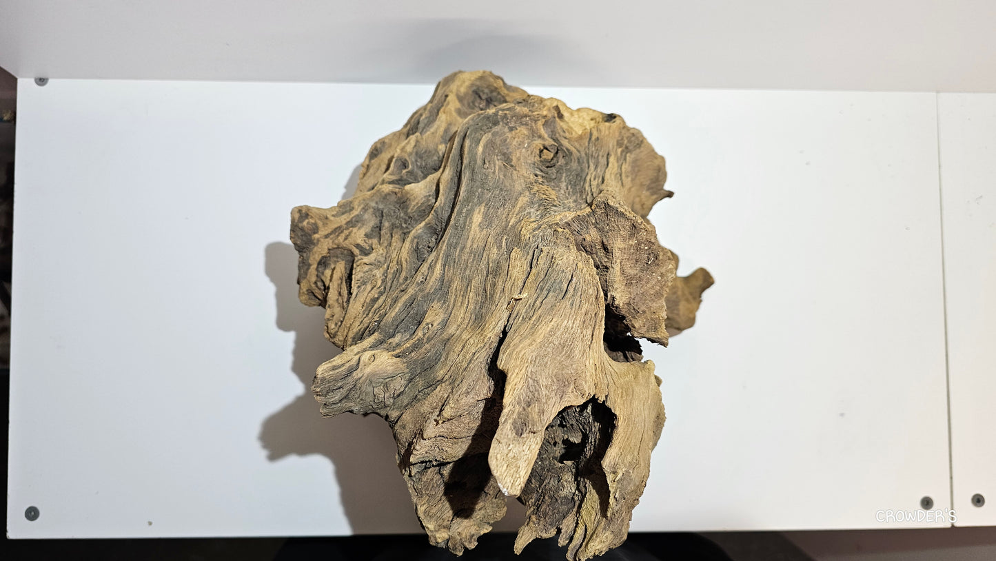 BOGWOOD BOG20