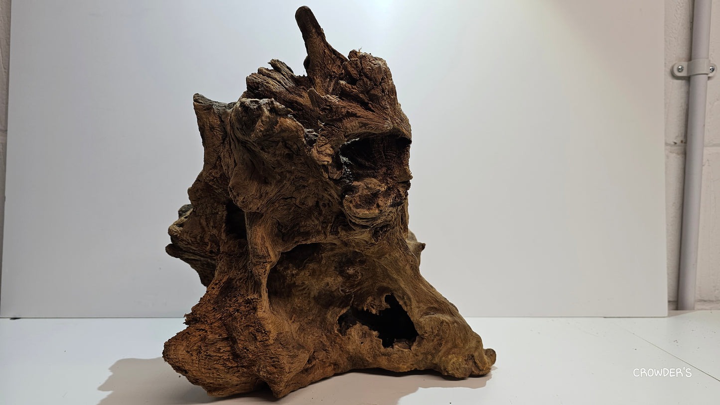 BOGWOOD BOG20