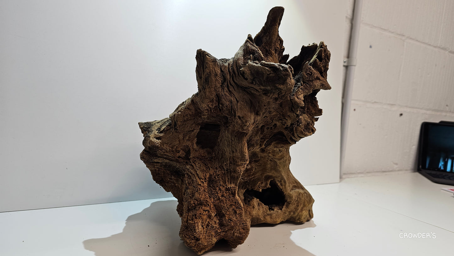 BOGWOOD BOG20