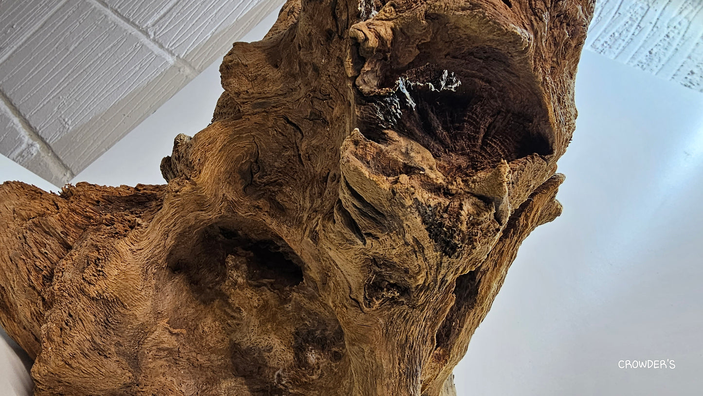 BOGWOOD BOG20