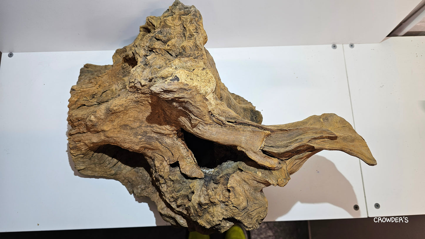 BOGWOOD BOG22