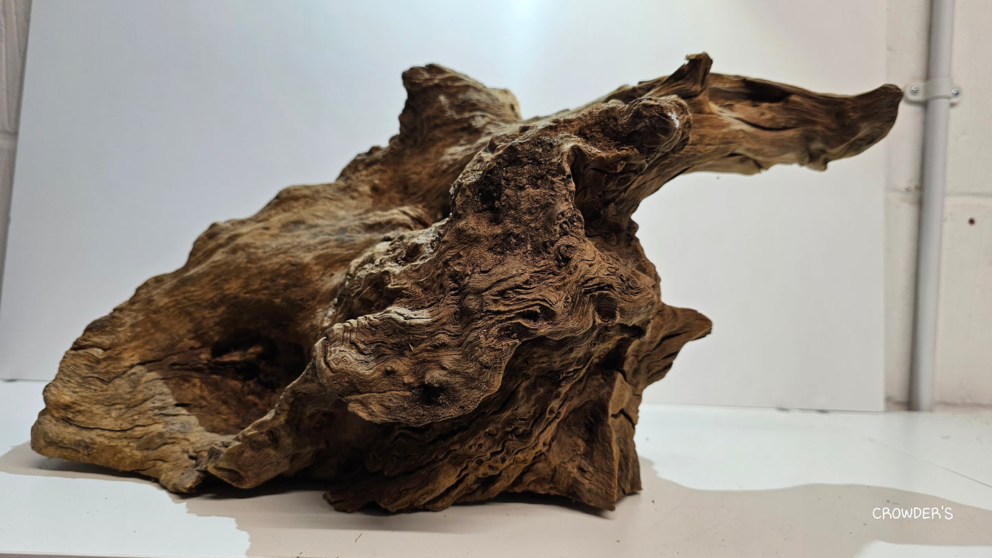 BOGWOOD BOG22