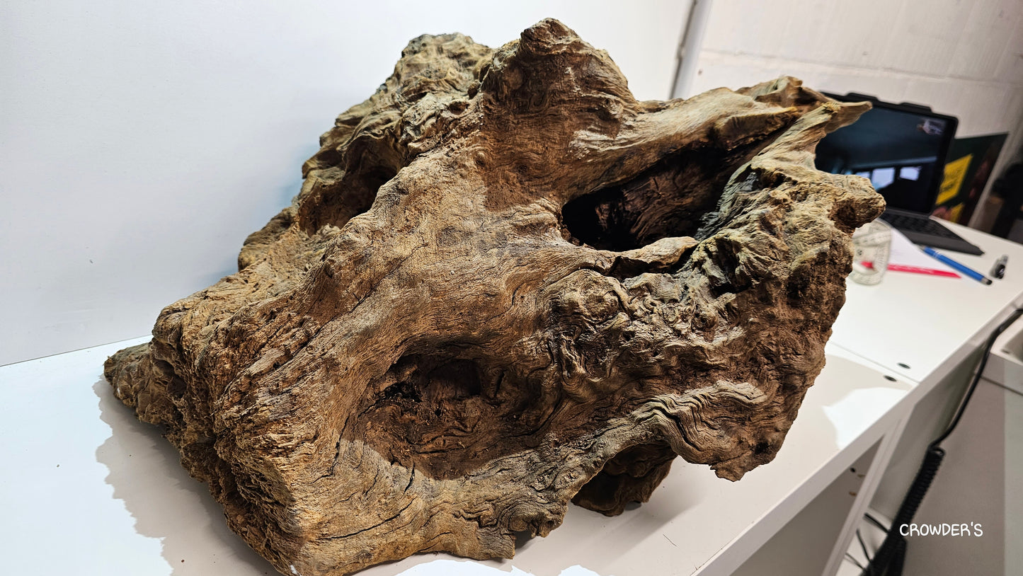 BOGWOOD BOG22