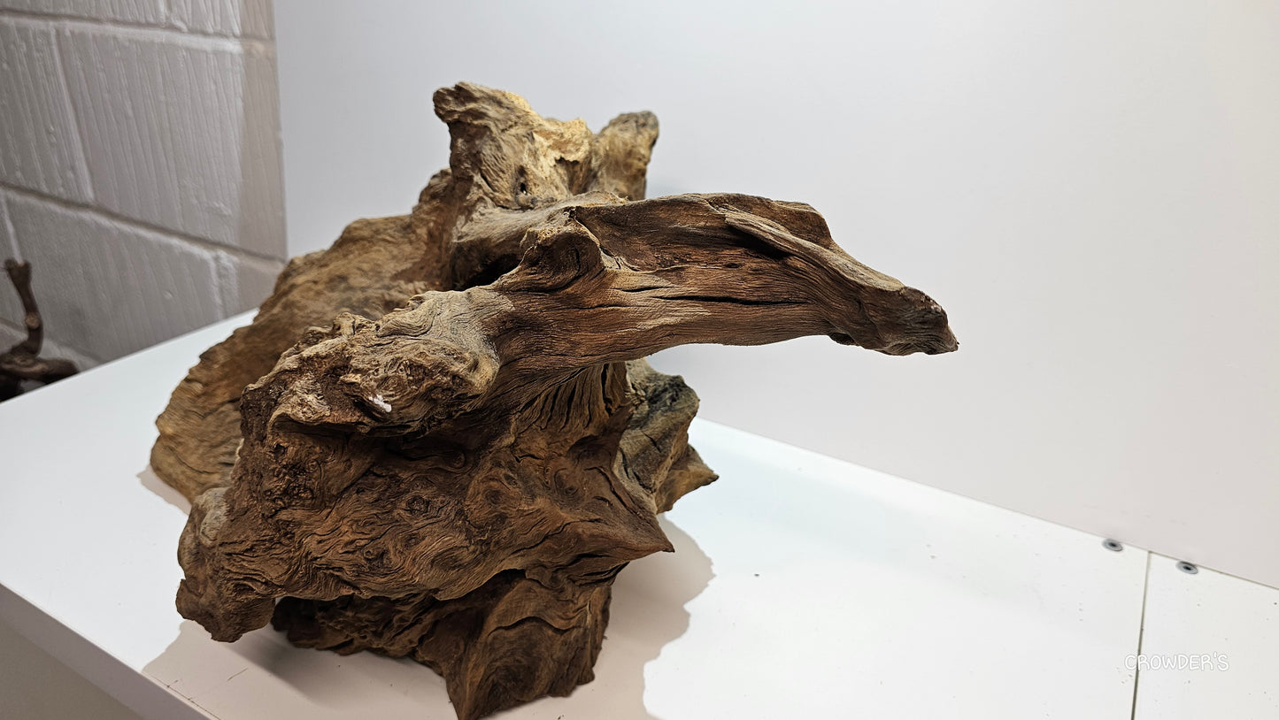 BOGWOOD BOG22