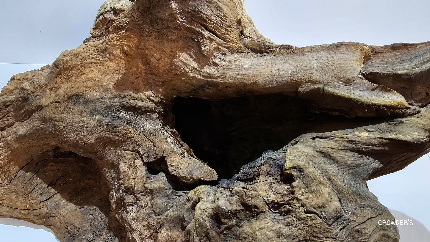 BOGWOOD BOG22