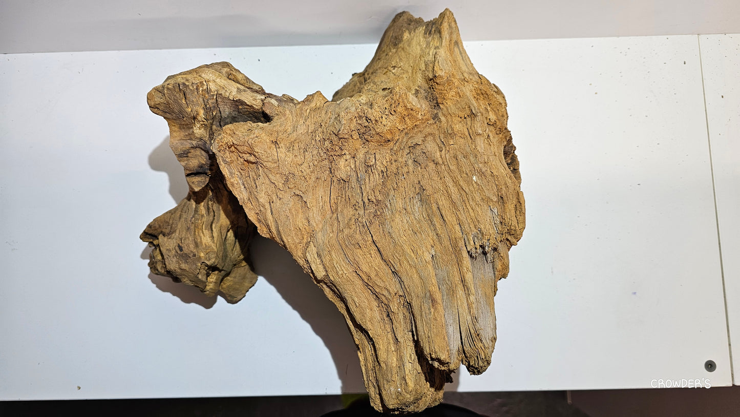 BOGWOOD BOG25