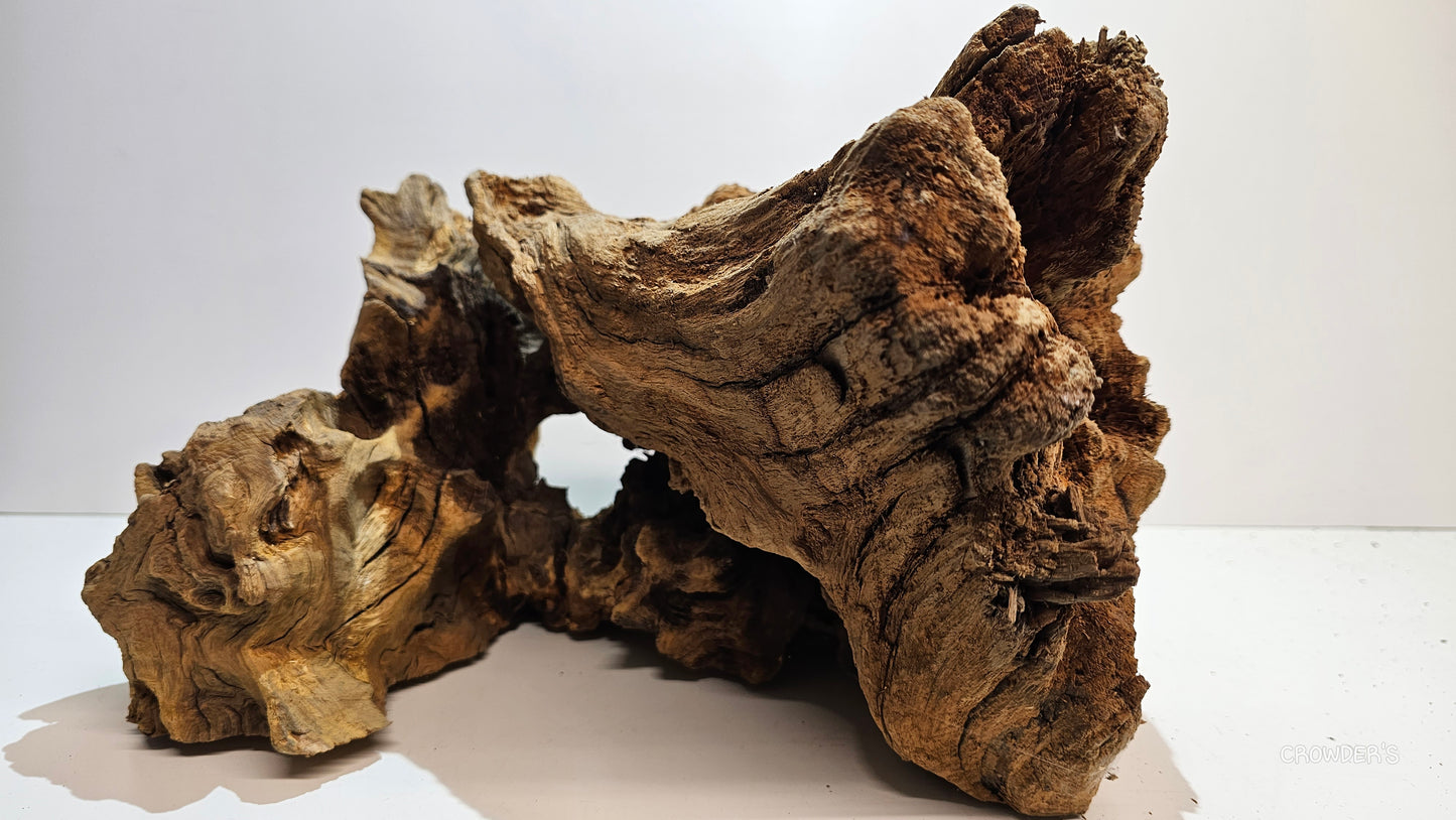 BOGWOOD BOG25