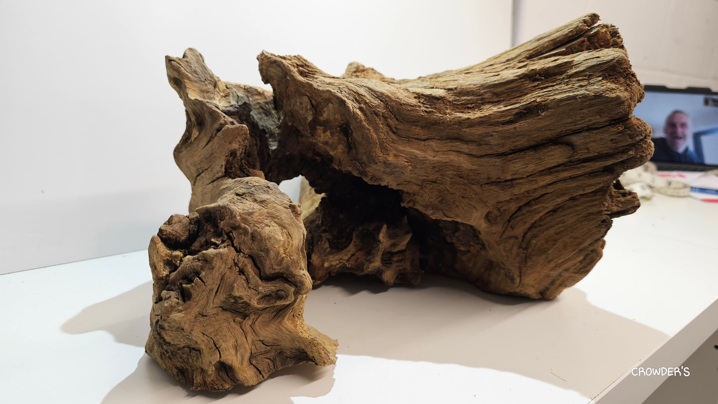 BOGWOOD BOG25