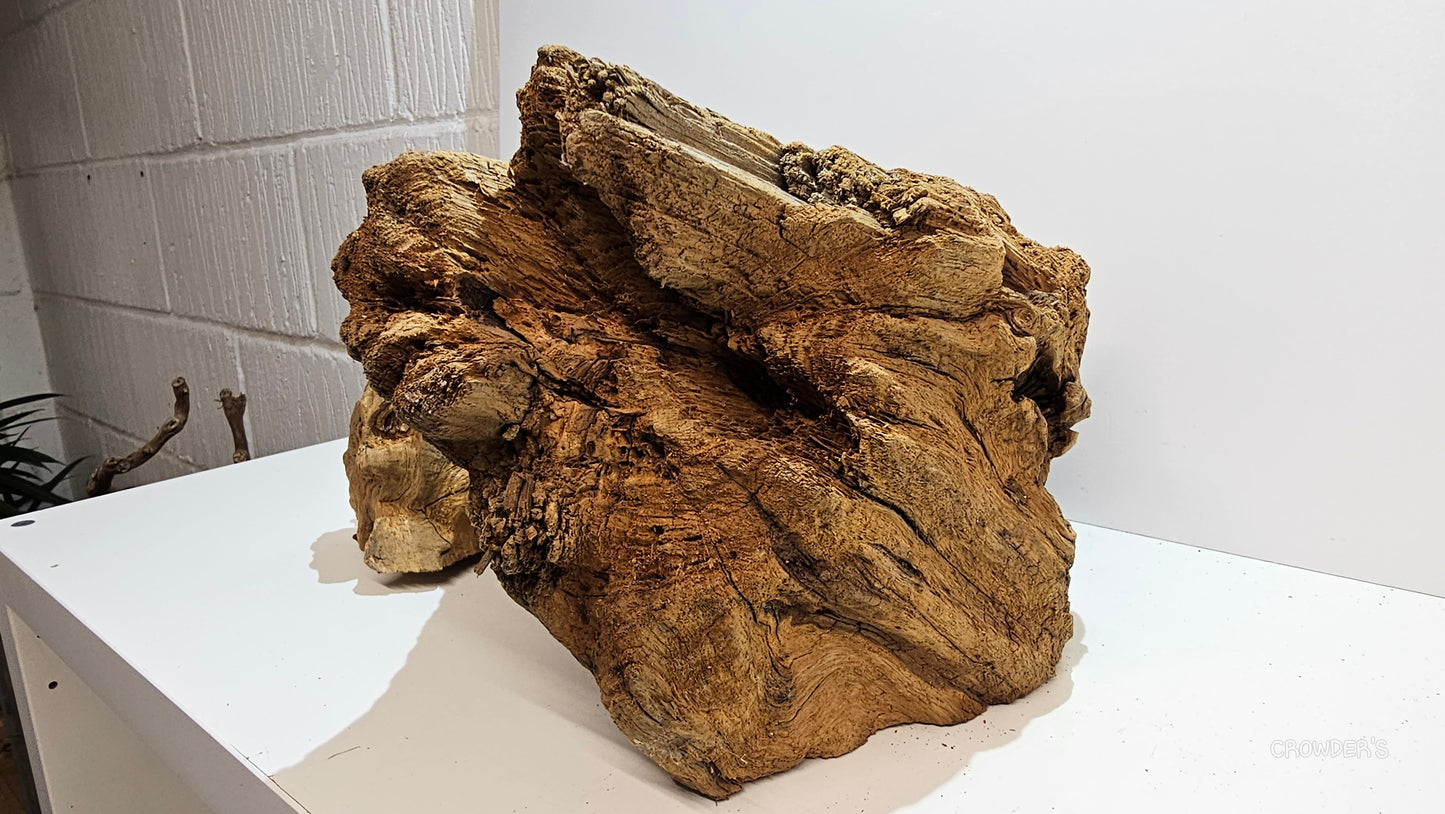 BOGWOOD BOG25