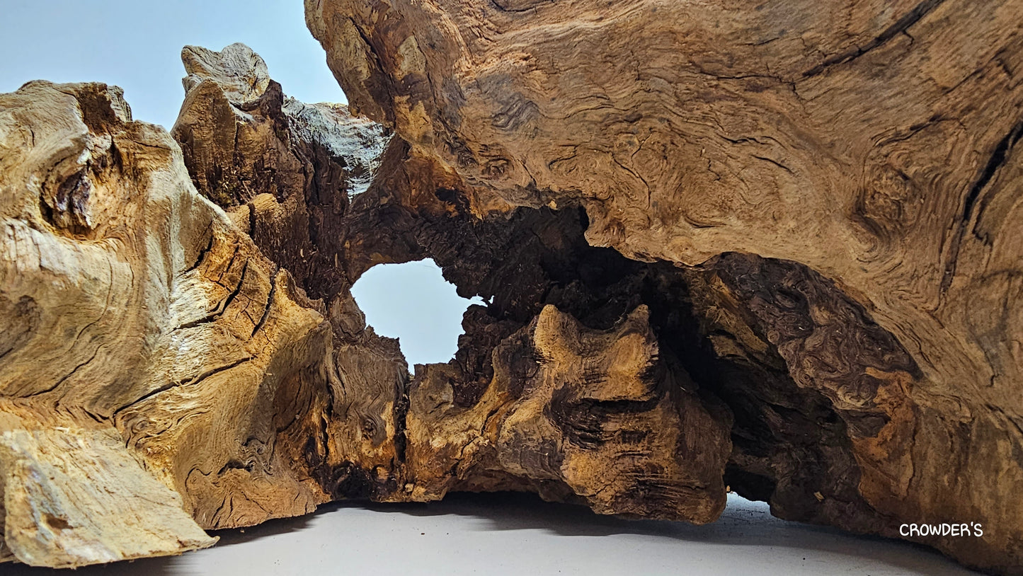 BOGWOOD BOG25