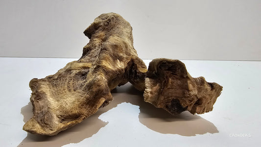 BOGWOOD BOG28