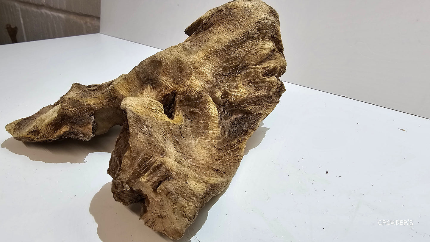 BOGWOOD BOG28