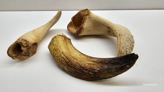 100g LAMB HORN MARROW DENTAL CHEW