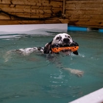 Extreme Floating Dumbbell