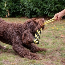 Playtime Bumble Bee Ropey Plait
