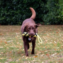 Playtime Bumble Bee Ropey Plait